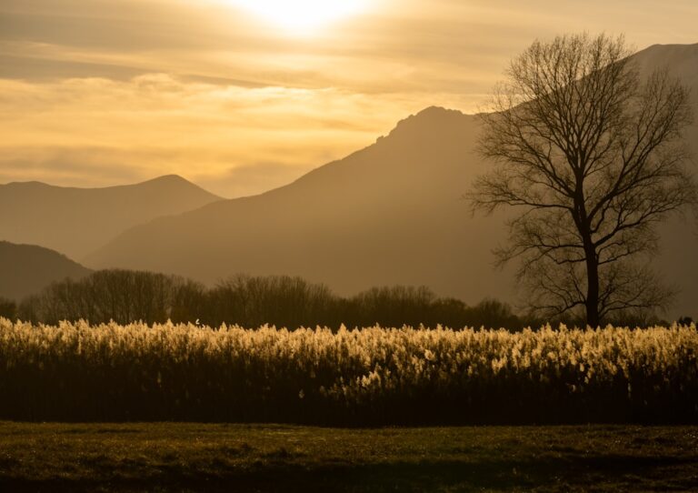 The Ultimate Guide to Capturing Breathtaking Landscapes
